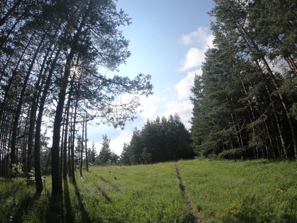 Carobni Breg Hotel Mokra Gora Exterior foto